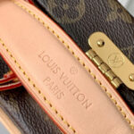 Louis Vuitton Handle Trunk Monogram M11118 Brown